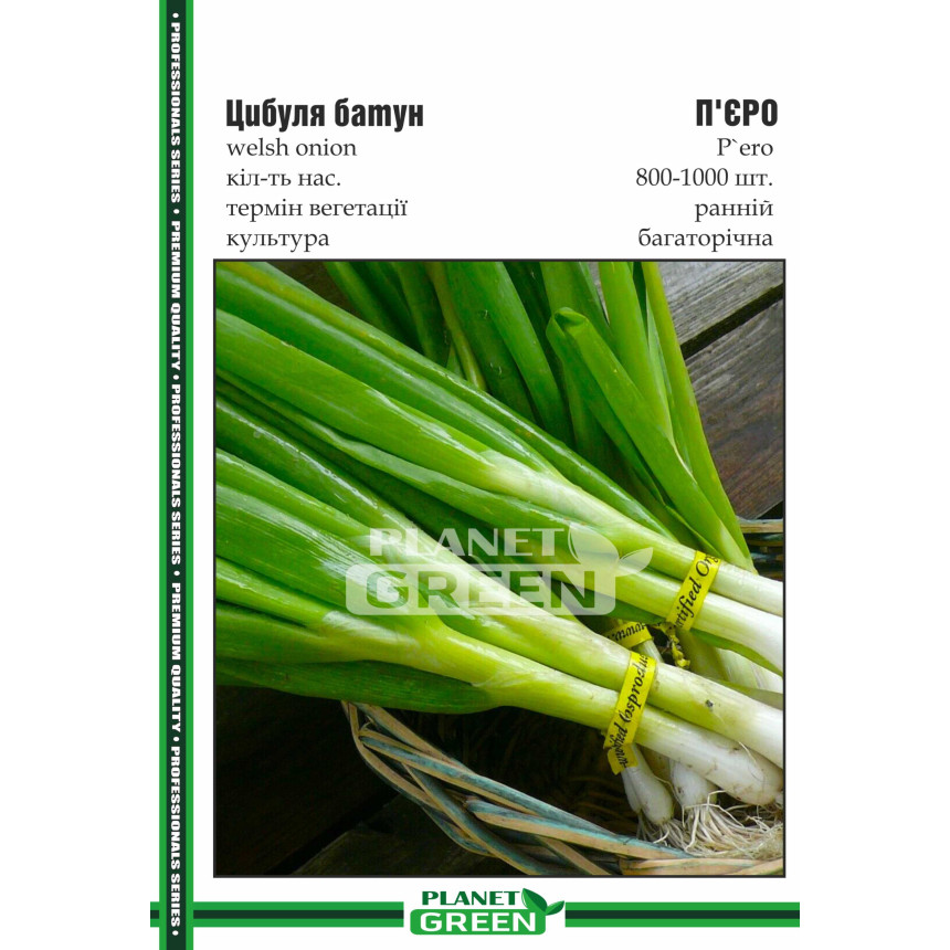 Цибуля батун П'єро, 800-1000 шт.