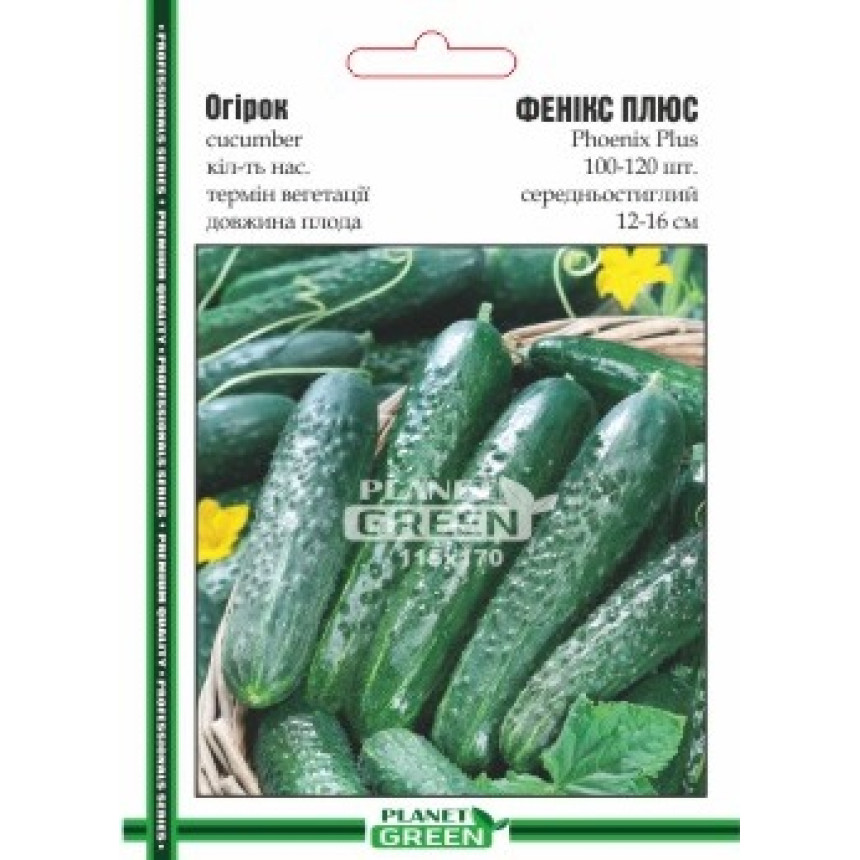 Огірок Фенікс Плюс, 100-120 шт.