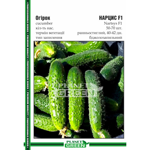 Огірок Нарцис F1, 50-70 шт.
