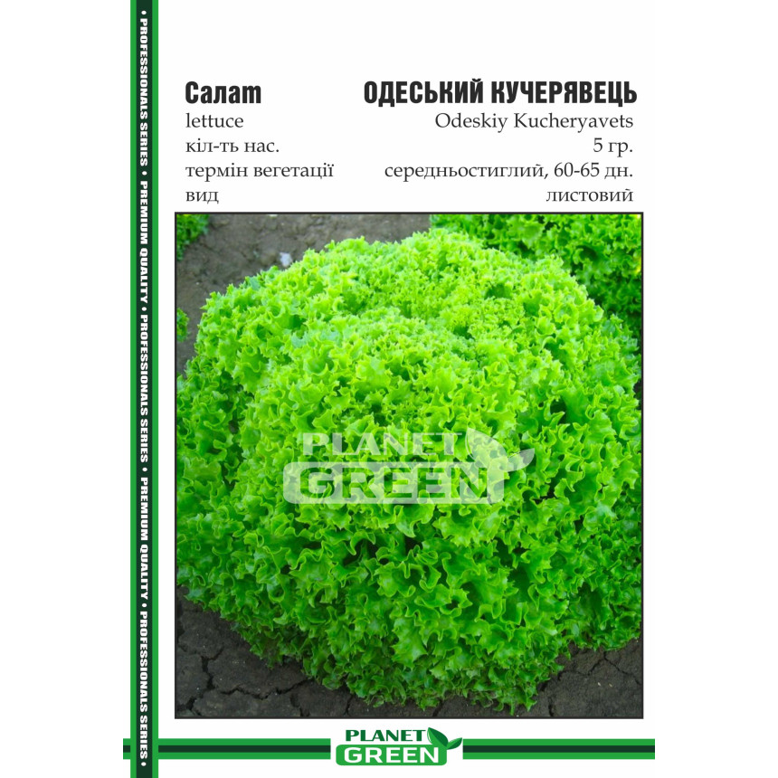 Салат Одеський Кучерявець, 5г