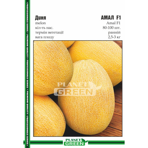 Диня Амал, 80-100 шт.