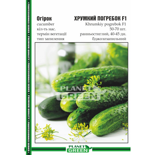 Огірок Хрумкий Погребок, 50-70 шт.