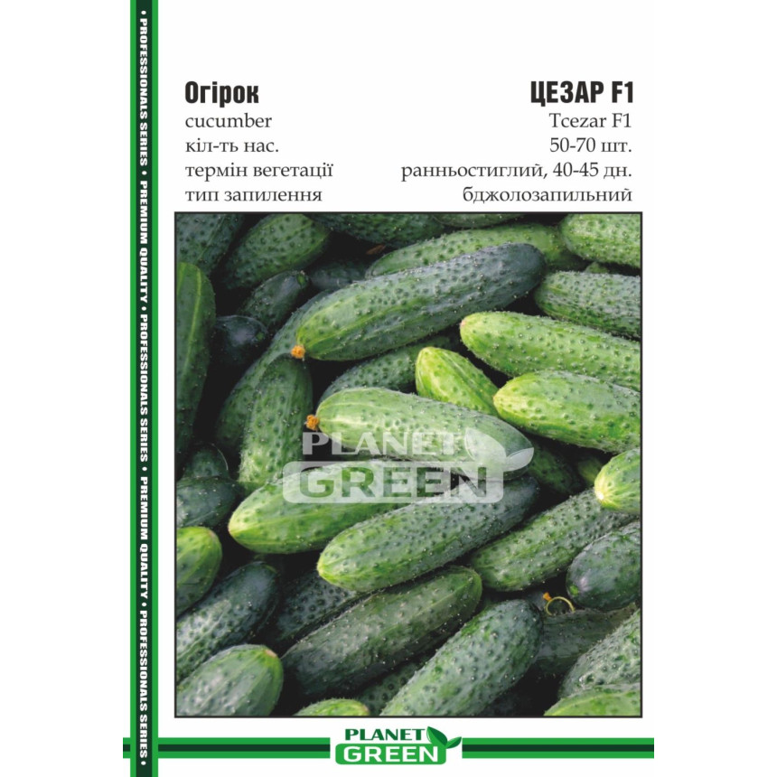 Огурец Цезарь, 50-70 шт.