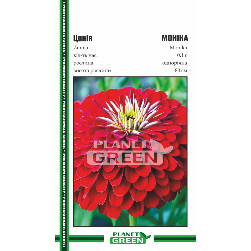 Цинния Моника, 0.1 г