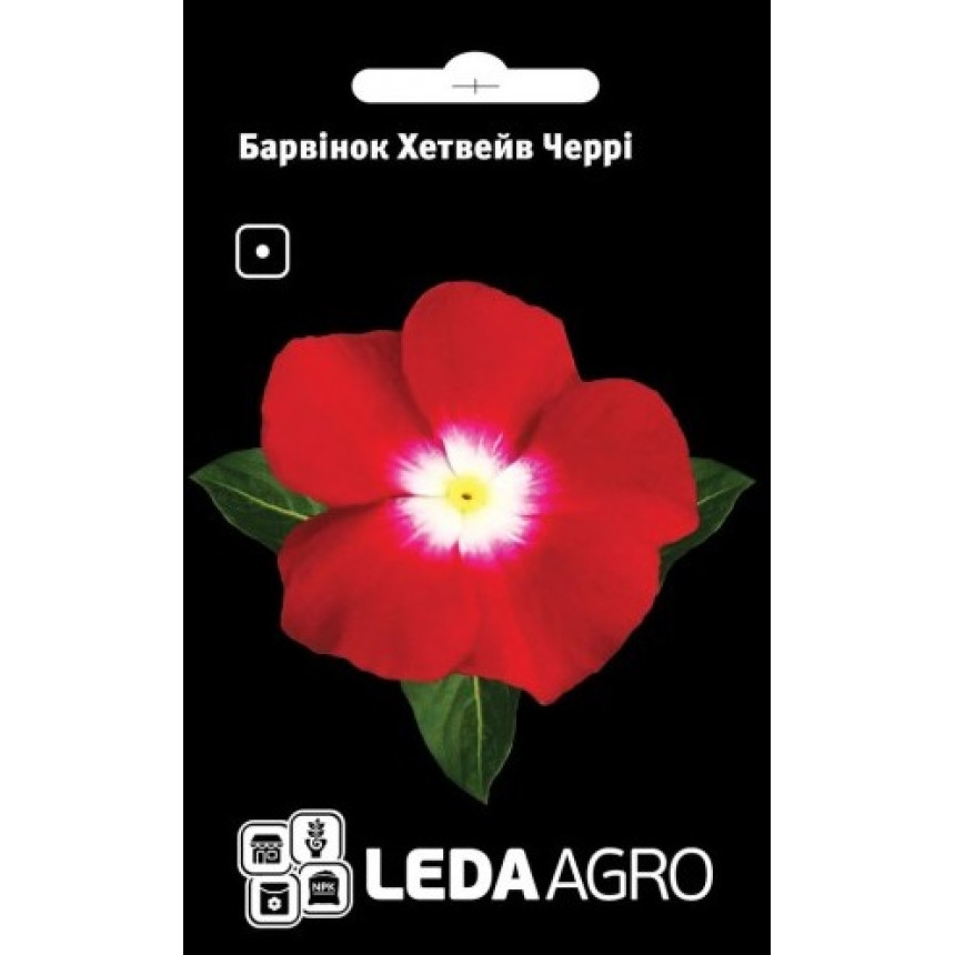 Барвінок Хетвейв Чері 10 шт.