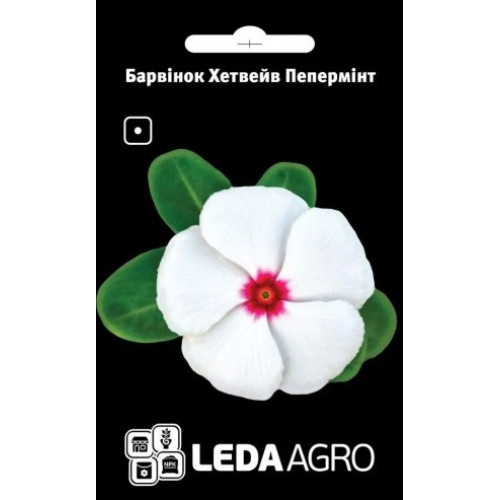 Барвінок Хетвейв Пеппермінт 10 шт.