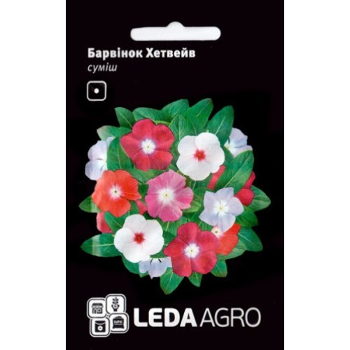 Барвінок Хетвейв суміш 10 шт.