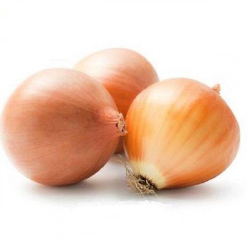 Цибуля-сіянка Амфора (вагова цибуля) Голандія, 1 кг