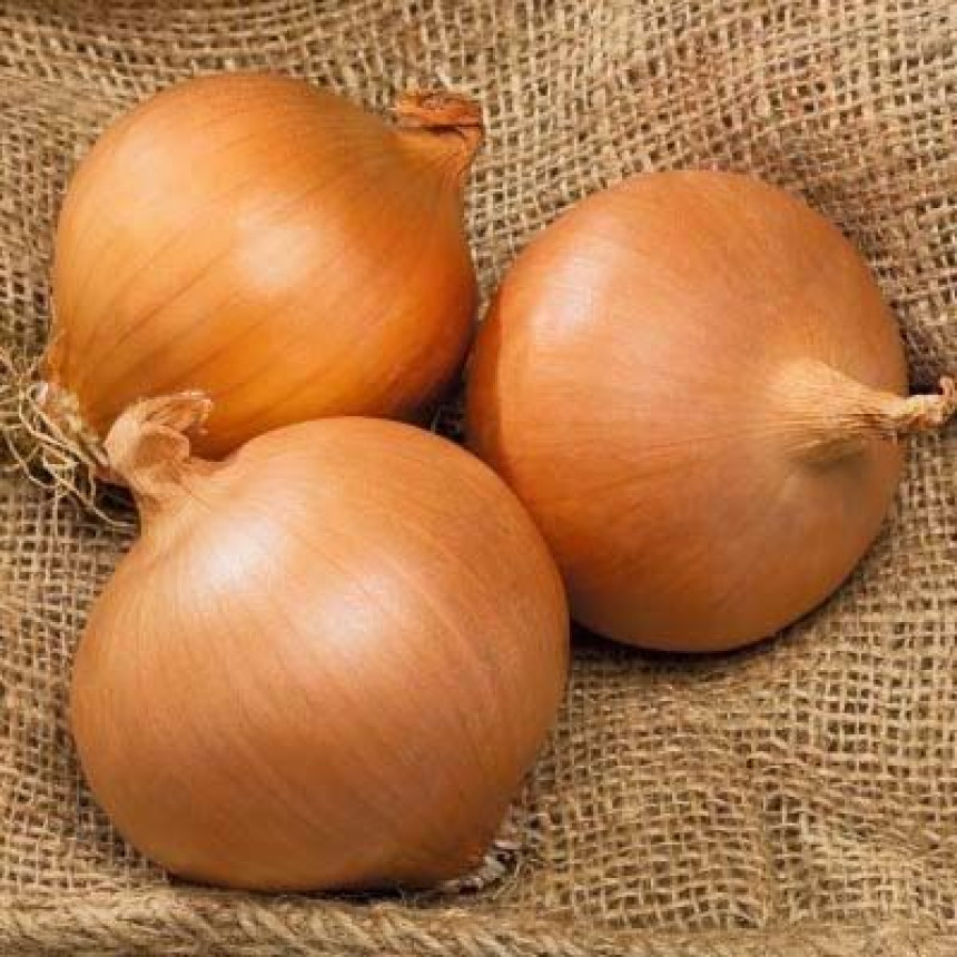 Лук-севок Августа Голландия, 1 кг