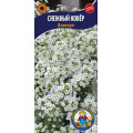 Аліссум Сніговий килим 0,1г
