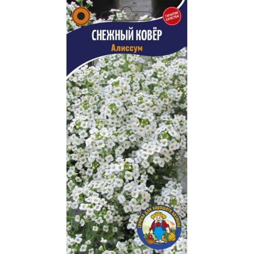 Аліссум Сніговий килим 0,1г