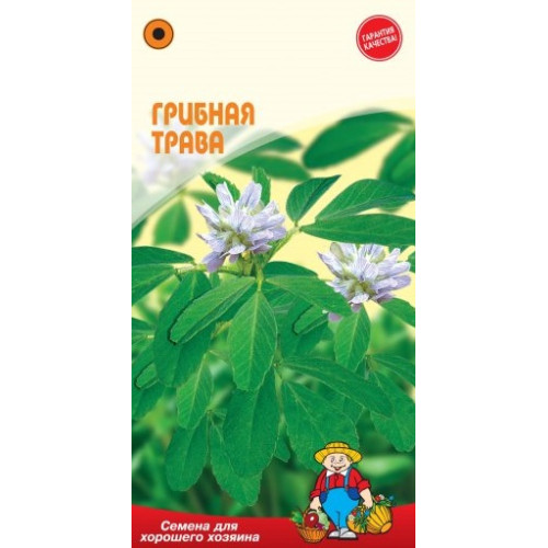 Грибна трава (1г.)