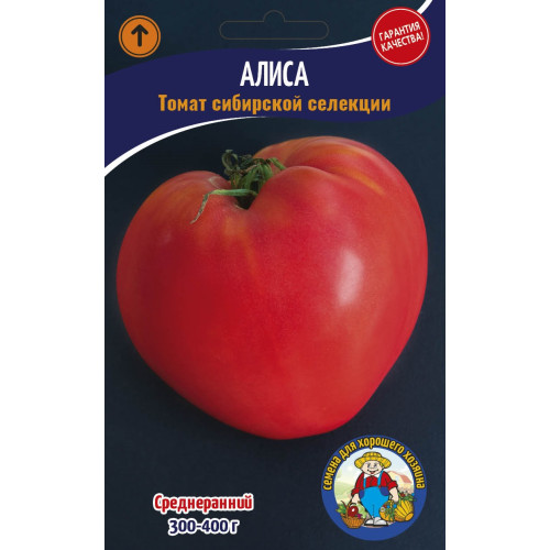 Томат Аліса 200-250 шт.