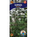 Валеріана (0,1г.)