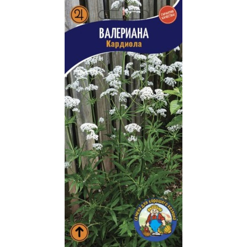 Валеріана (0,1г.)