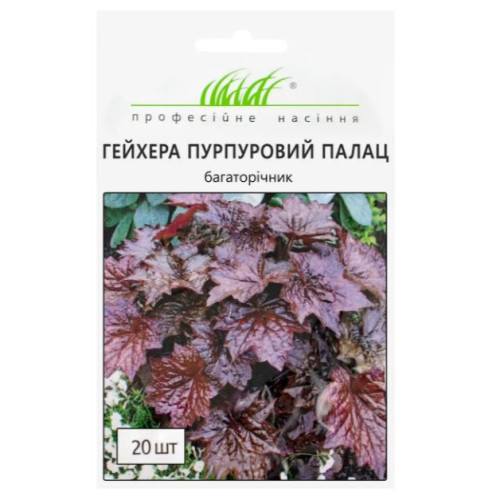 Гейхера Пурпуровий палац 20 шт