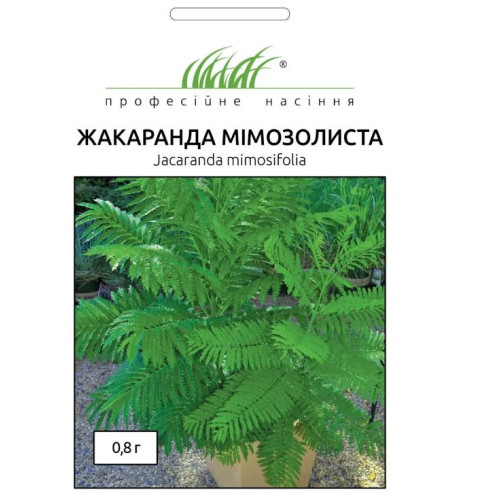 Жакаранда Мімозолістна 0.8 г