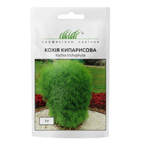 Кохія кипарисова 1г