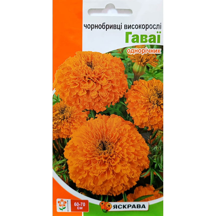 Чорнобривці Гаваї, 0.5 г