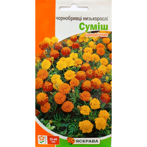 Чорнобривці низькорослі суміш, 0.5 г