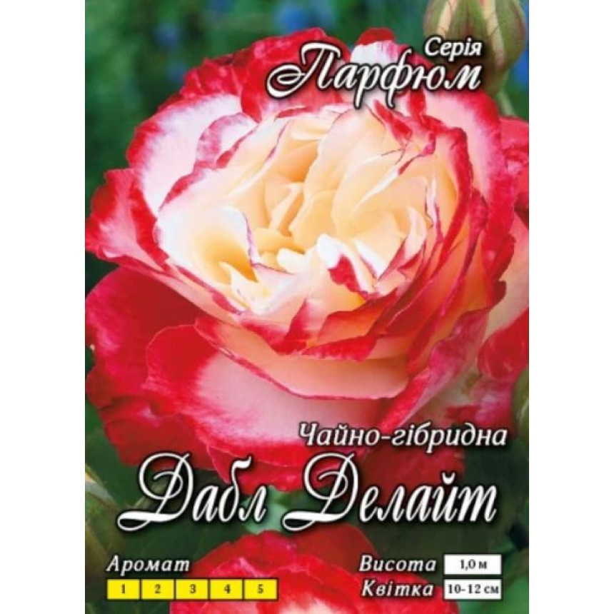 Роза Дабл Делайт (Ч/Г)
