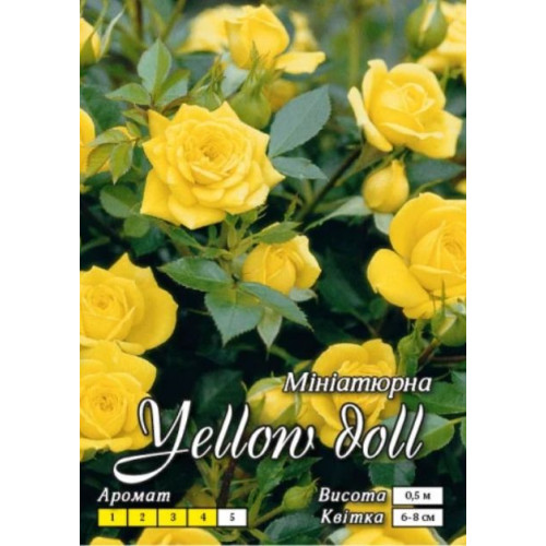 Роза Желтая Кукла (спрей)