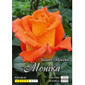 Роза Моника (Ч/Г)