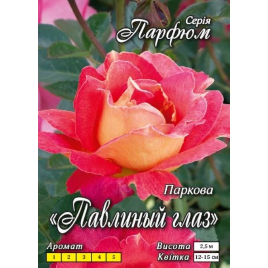 Роза Павлиный Глаз (парк.)