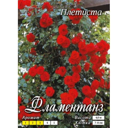 Троянда Фламентанц (плетист.)
