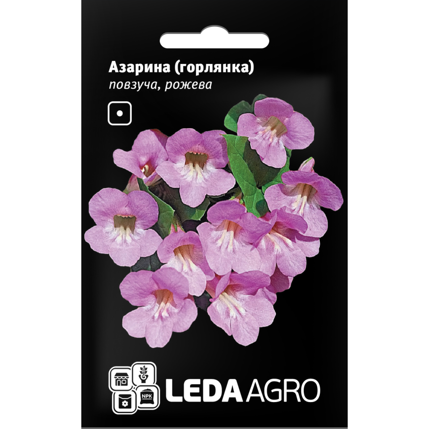 Азарина (Горлянка) ползучая розовая 4 шт.