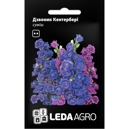 Дзвоник Кентербері суміш