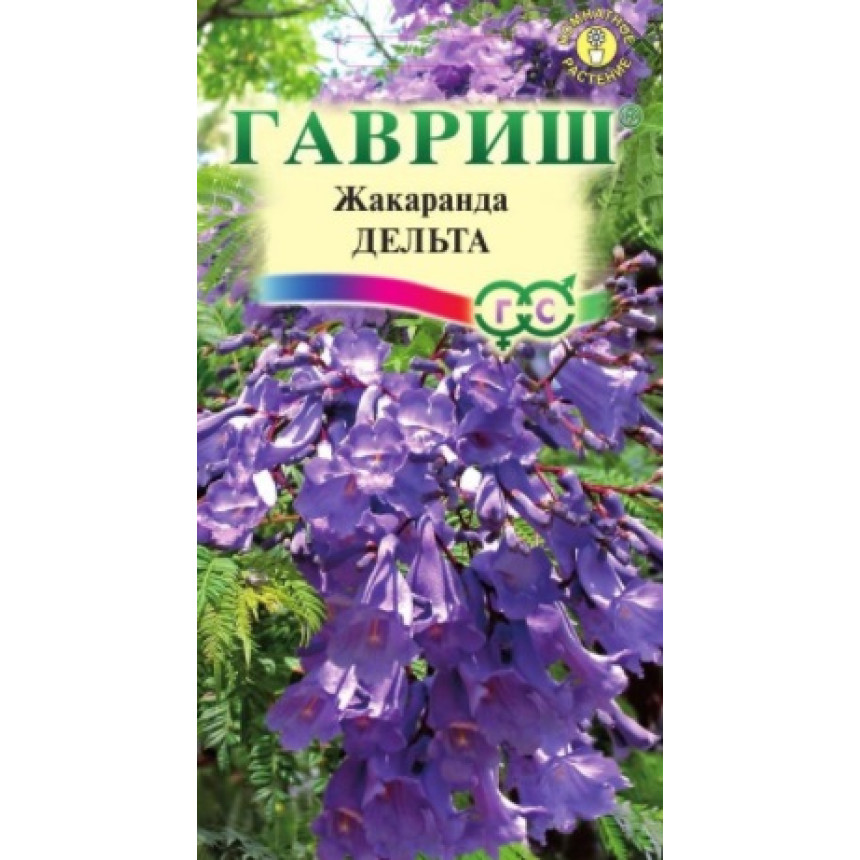 Жакаранда Дельта, 3 шт.