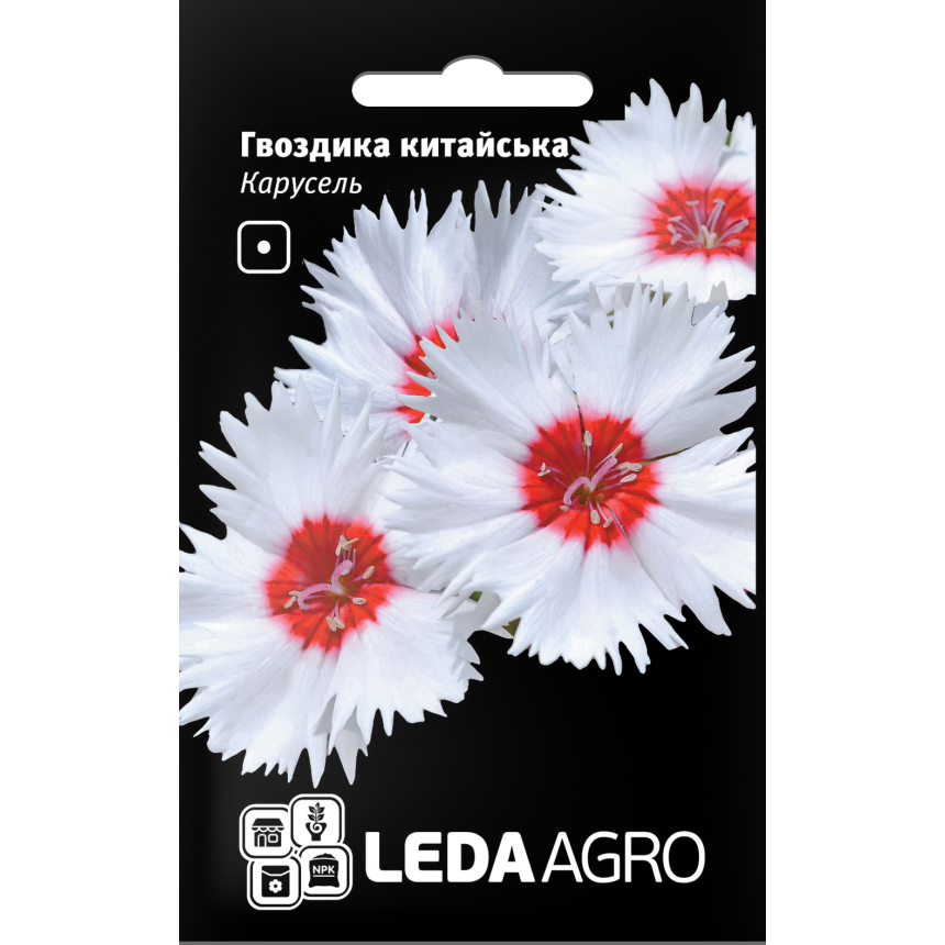 Гвоздика Карусель китайська