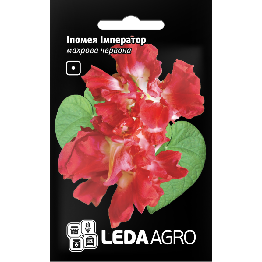 Іпомея Імператор махрова червона