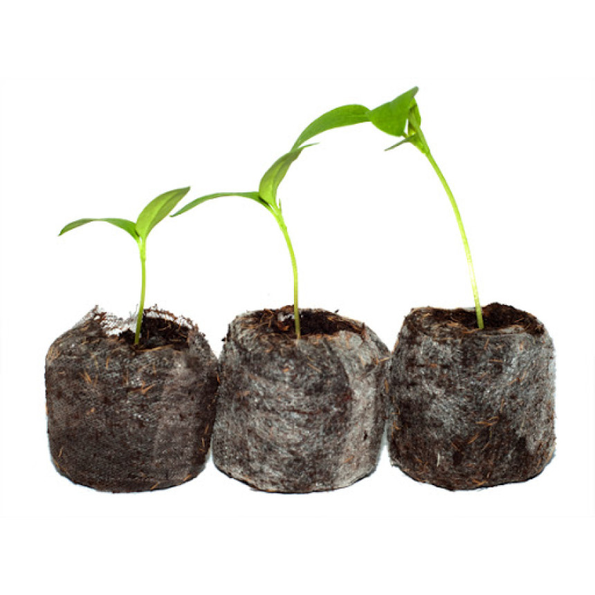 Торфяна таблетка d=38 mm