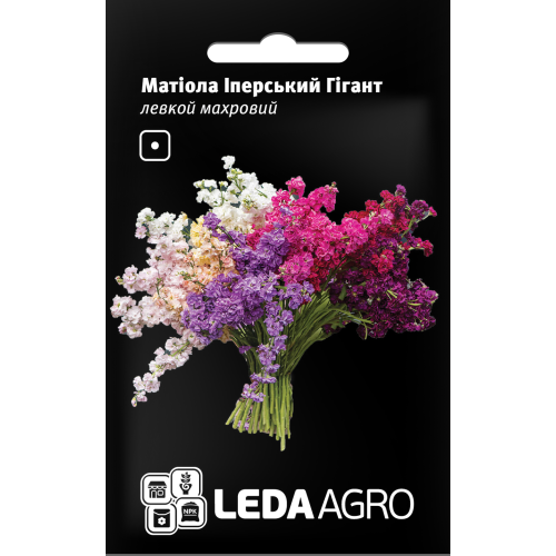 Матіола (Левкой махровий)