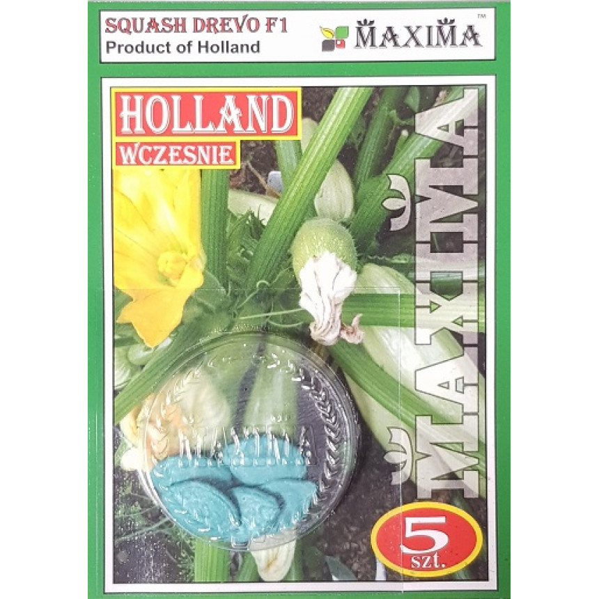 Кабачок КАБАЧКОВЕ ДЕРЕВО F1 (інкр.) 5сем. (tm. MAXIMA)