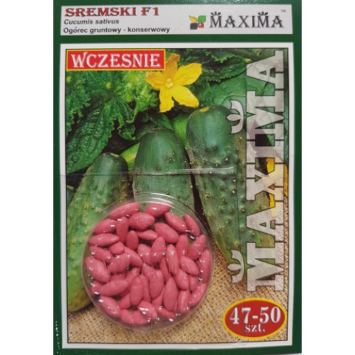 Огірок Сремський F1 (драж.), 47-50сем.