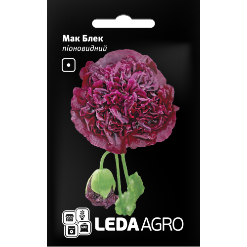 Мак Блек піоновидний