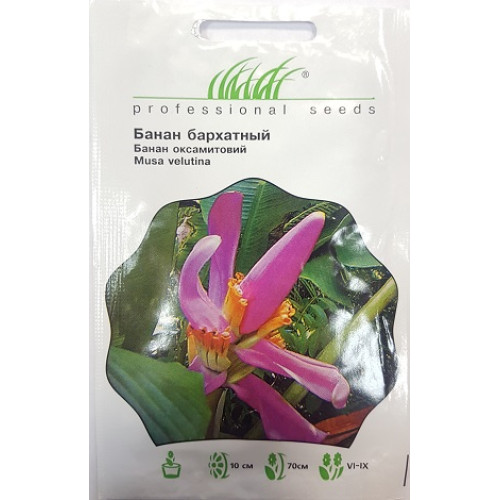 Банан оксамитовий, 3 шт.