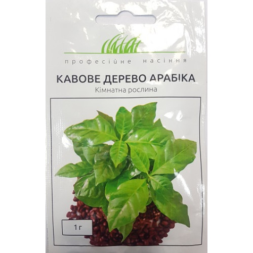 Кавове дерево Арабіка, 1г