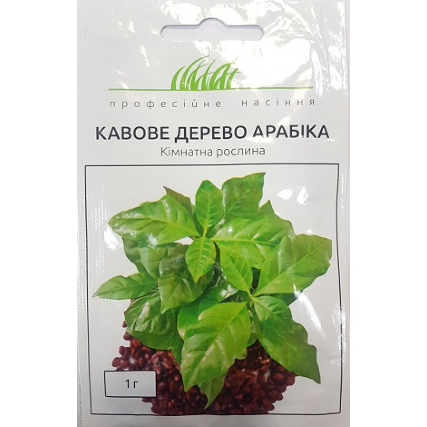 Кавове дерево Арабіка, 1г
