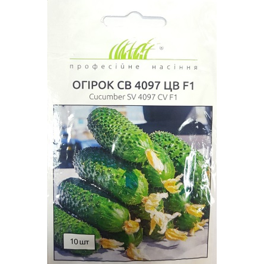 Огірок СВ 4097 ЦВ, 10 шт.