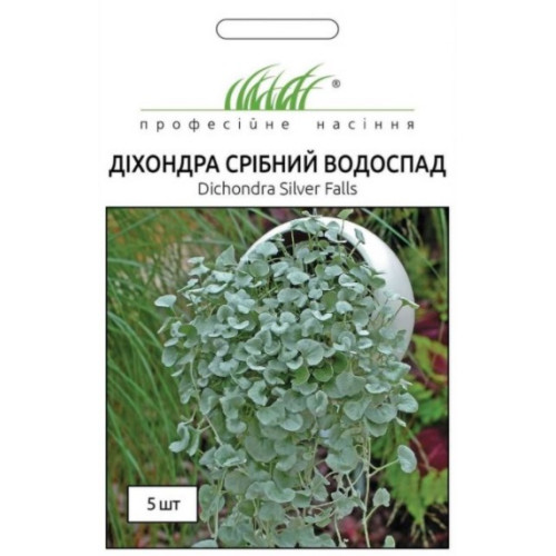 Діхондра Срібний Водоспад, 5 шт.