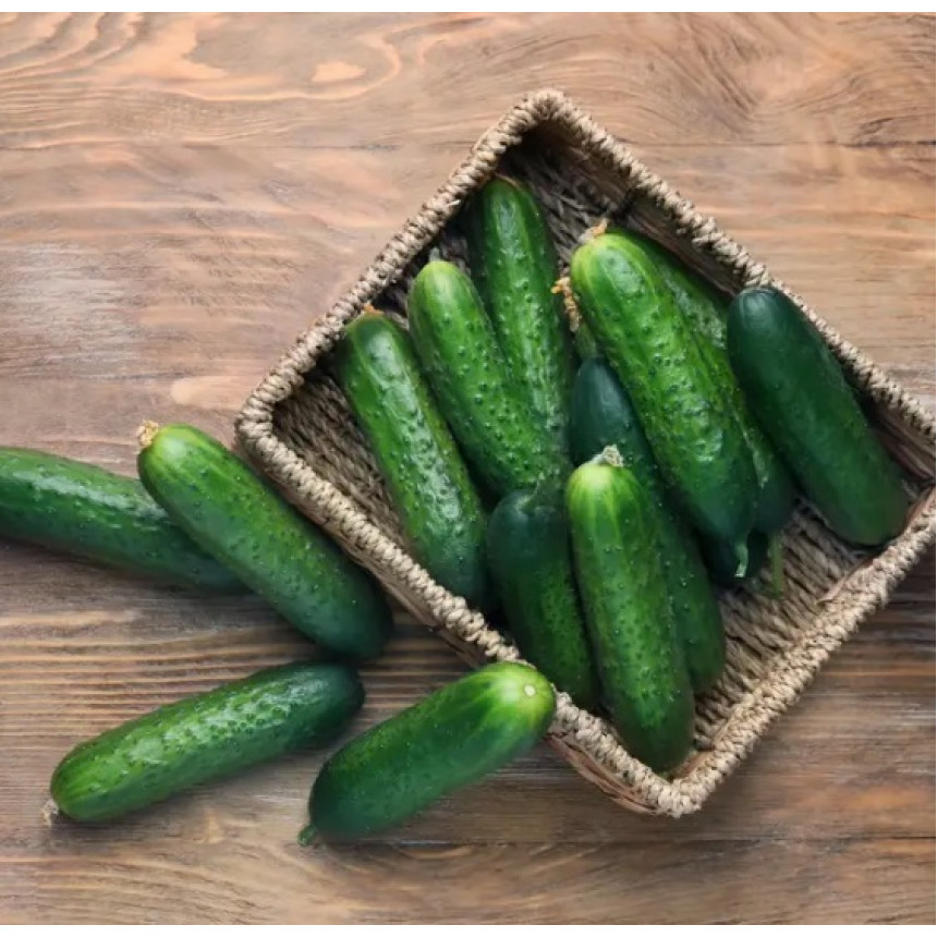 Огірок Мадрилен F1, 10шт