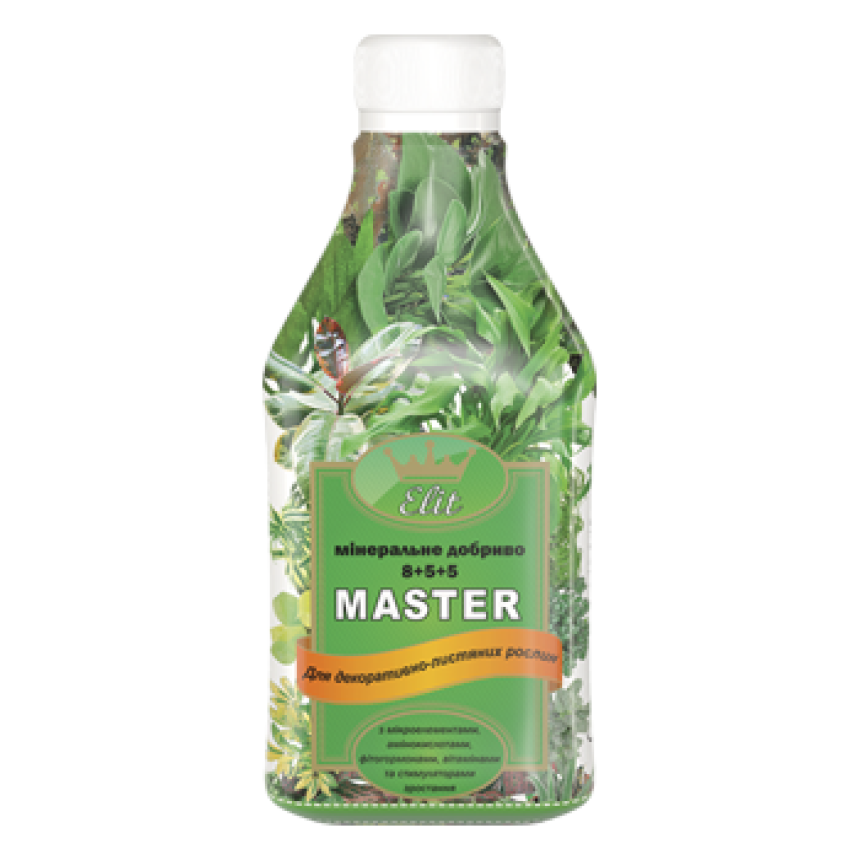 ROST-Мастер для декоративно-листяних рослин 0.3 л