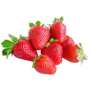 Саджанці Полуниці