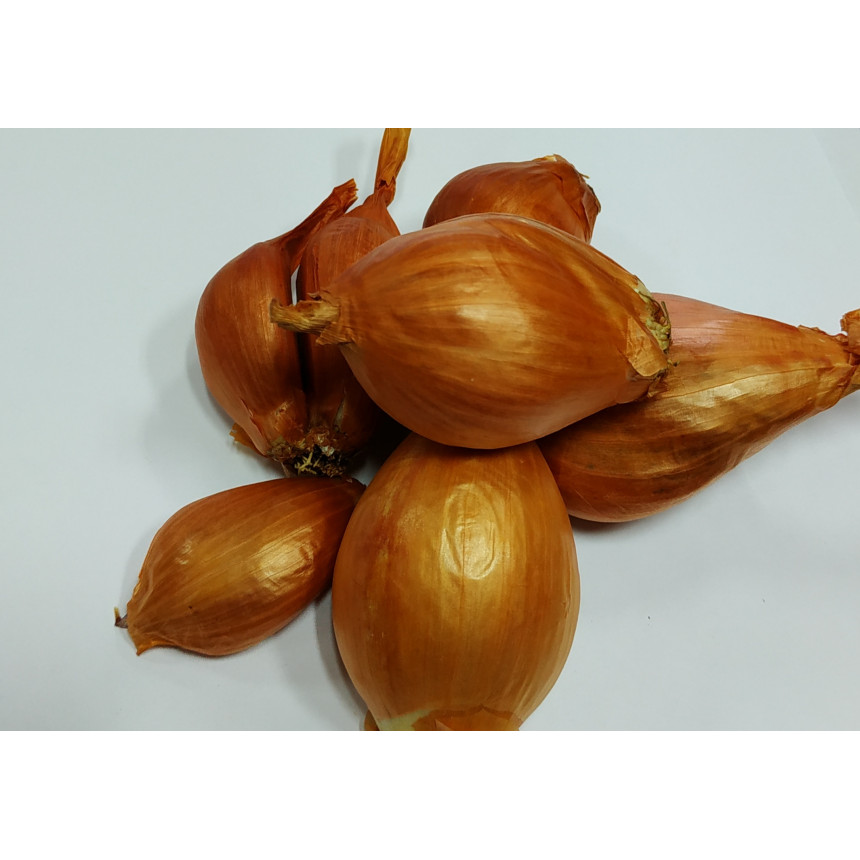 Цибуля-шалот (кущівка, вагова цибуля), 1 кг