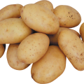 Про картоплю