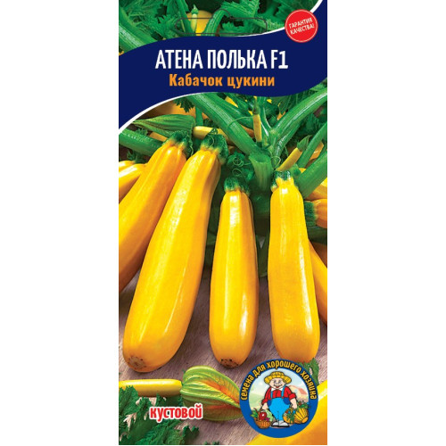 Кабачок цукіні Атена Полька F1 (5 шт.)